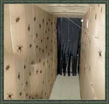 Bug Tunnel
