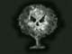 Tree Projection
